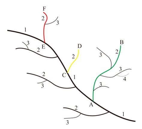 Selection Method of Dendritic River Networks Based on Hybrid Coding for ...