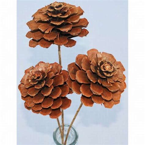 Красивые поделки из шишек своими руками: + (800 фото) | Pine cone ...