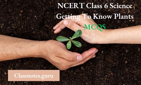 Image result for Class 6th Science Chapter 4