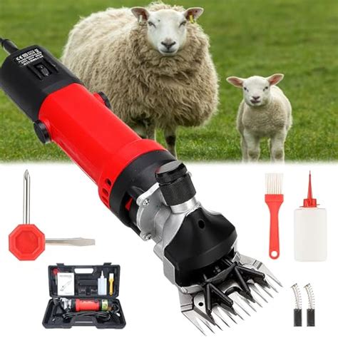 Amazon.in Bestsellers: The most popular items in Sheep & Goat Farming ...