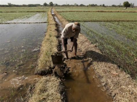 Helpless UP Farmer Forced To Put Up Kidney For Sale After Govt Banks ...