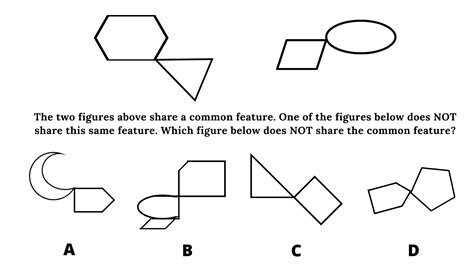 Image result for Pi Practice Test Cog Sample