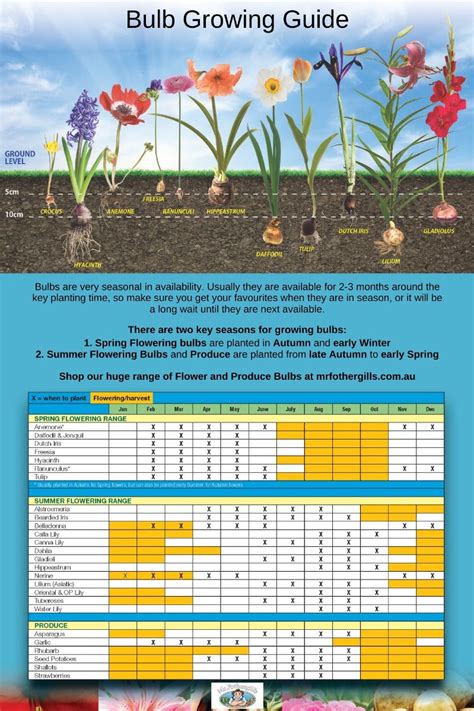 Image result for Bulb Planting Guide