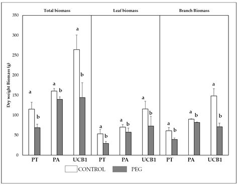 Effects of Rootstock on Water Stress, Physiological Parameters, and ...