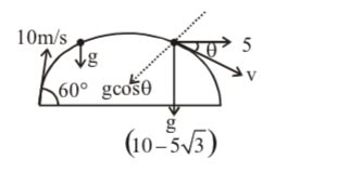 A body is projected at t = 0 with a velocity 10 ms-1 at an angle of 60 ...