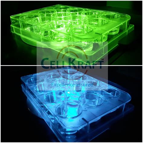 CELLKRAFT BIOTECH PVT. LTD. - CELLKRAFT BIOTECH PVT. LTD.