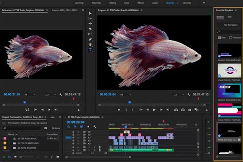 Image result for MAGIX Motion Graphics Software