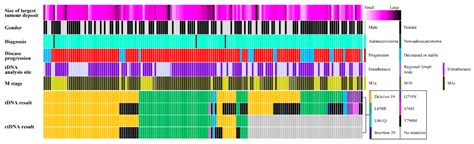 Real-World Analysis of the EGFR Mutation Test in Tissue and Plasma ...