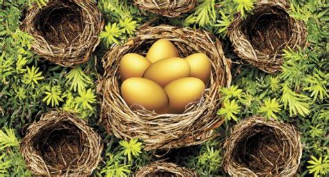 Why Dynamic Asset Allocation Funds Make Sense - BW Businessworld