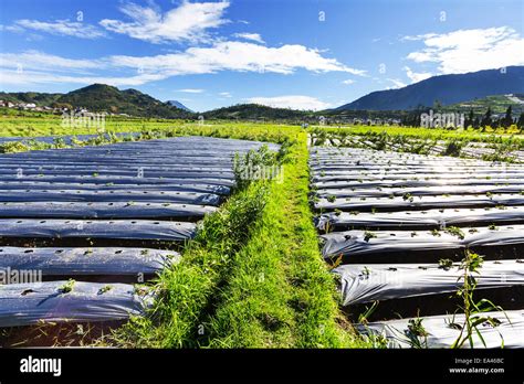 Image result for Java Field Example