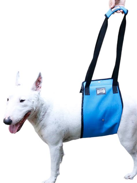 Gostoto Pet Supply Pet Lifts Vest Leg Auxiliary Belt Walking Aids for Dog Leg Injuries - Walmart.com