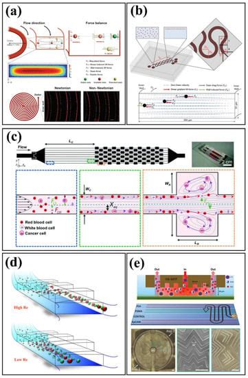 Biomedical Applications of Microfluidic Devices: A Review | MDPI