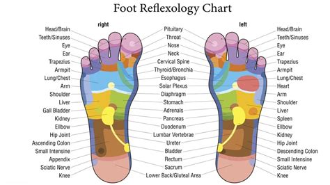 NATURE FOOT REFLEXOLOGY WELFARE CENTER - PODUPATTI : Foot Reflexology ...