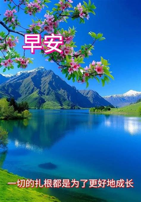 早安风景 的图像结果