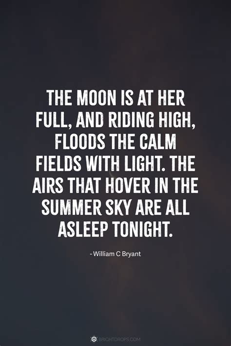 103 Quotes About the Moon to Shoot for Greatness - Bright Drops