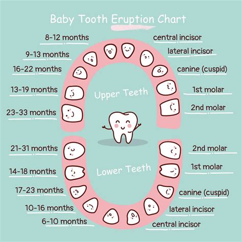 How Soon Can Baby Cut Teeth at Carole Spears blog
