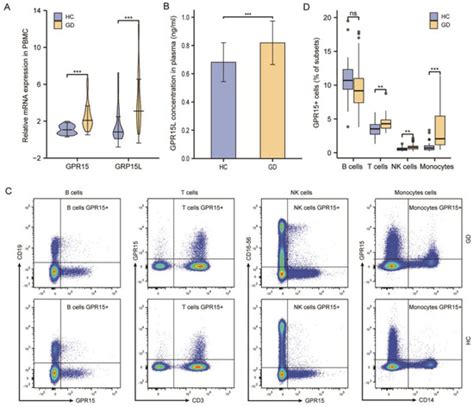 Elevated Expression and Activation of GPR15 in Immune Cells in Graves ...