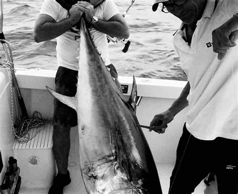 EXTREME FISHING BOTA DUBROVNIK (2026) All You Need to Know BEFORE You ...