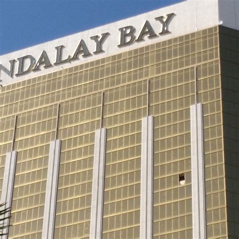 GUNS WORLD (2026) All You Need to Know BEFORE You Go (with Photos ...