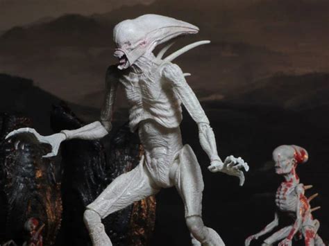 Image result for Alien Covenant Baby Neomorph