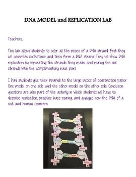 Image result for DNA Replication Lab