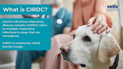 What Is Kennel Disease at Patricia Bartholomew blog