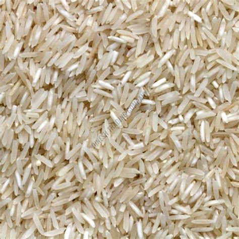 All Type OF Rice Exporter,All Type OF Rice Supplier from Rajkot India