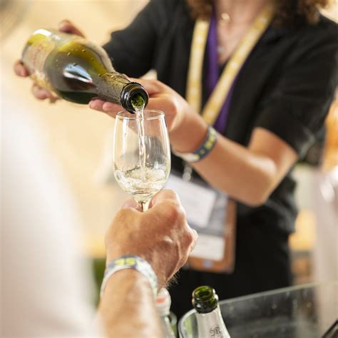 D.O. Cava en Spain's Great Match San Francisco | D.O. Cava