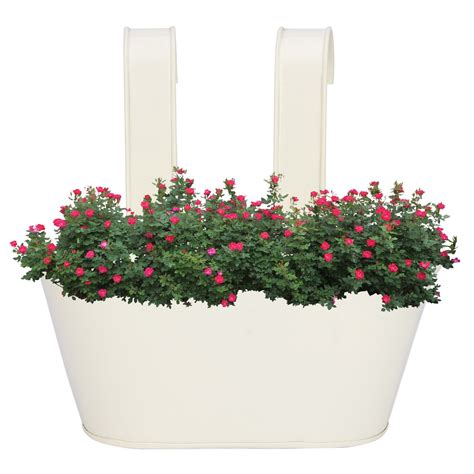 Nuha Metal Oval Railing Planter (10 inch) - Railing Planter, Flower Pot ...