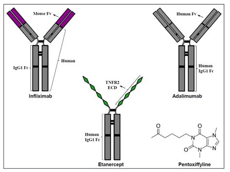 Anti-TNF-α Compounds as a Treatment for Depression
