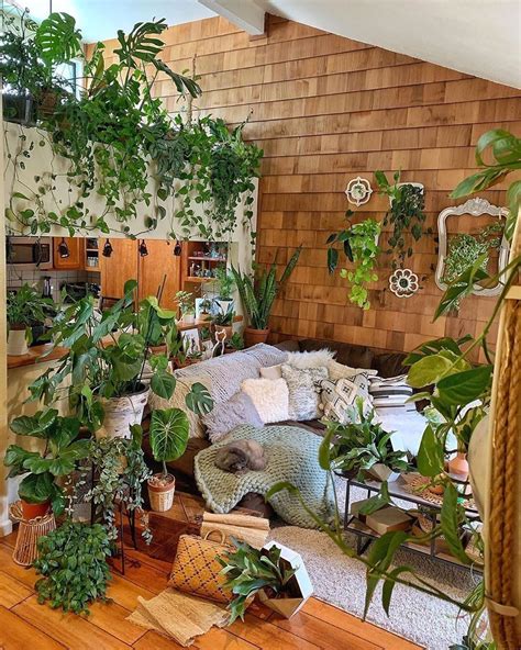 Whoever said 'less is more' obviously never had en | House plants decor ...