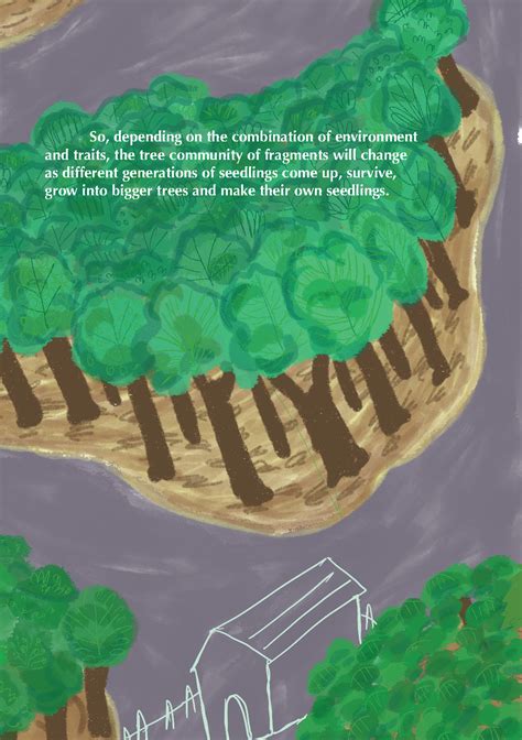 Trees in a Broken Forest - The CaFE Lab