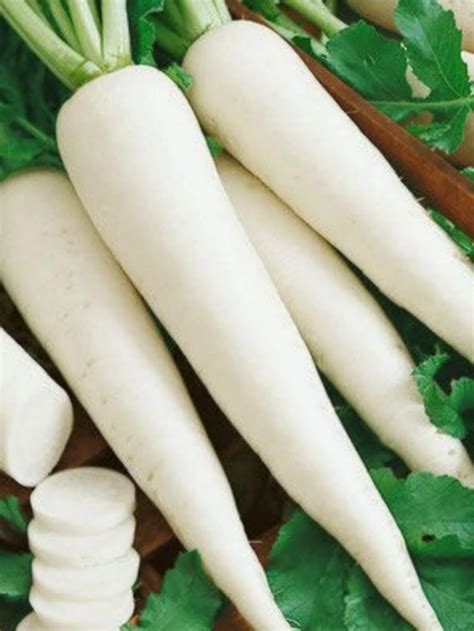 मूली खाने के 5 अद्भुत फायदे - Panchjanya