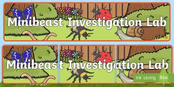 Science and Investigation | Role Play | Areas of Development