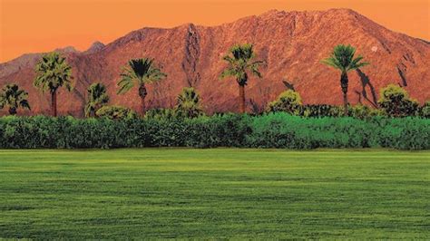 FLOOD - Welcome to the Jungle: Coachella 2016 Lineup Announced