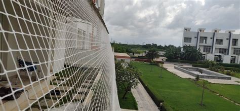 Kabootar jali & kabootar nets near Hyderabad | Call now 8297456888 ...