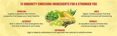 Himalayan Organics Plant Based Zinc with Vitamin C | Builds Immunity ...