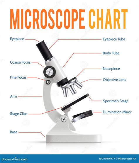 Microscope Parts Equipment at James Buckler blog
