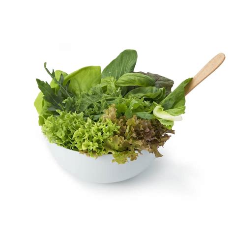 Hydroponic Mix Salad in Bangalore | Organically Grown