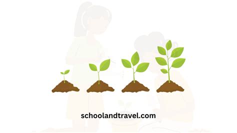 Botany vs. Horticulture (Meaning, Difference, Similarities, FAQs)