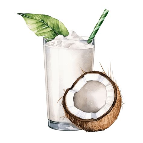 Coconut Drink Watercolor Illustration Clip Art, Watercolor, Coconut ...