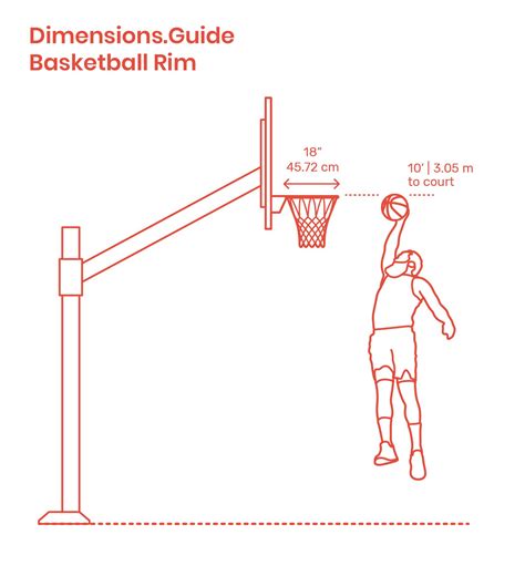 Basketball Rims - Height | Basketball rim, Basketball backboard ...