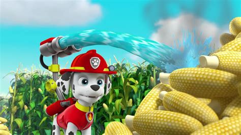 Watch Paw Patrol S2 Episode 19 on JioHotstar