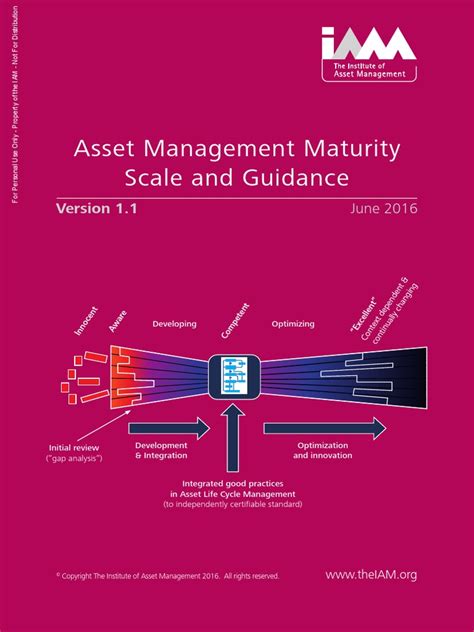 Image result for IAITAM Software Asset Management Maturity Map