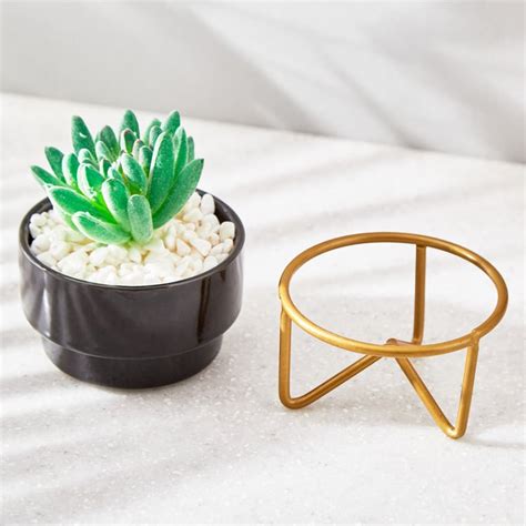 Buy Fiesta Garden Artificial Plant in Ceramic Pot from Home Centre at ...