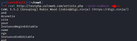A Detailed Guide on Cewl