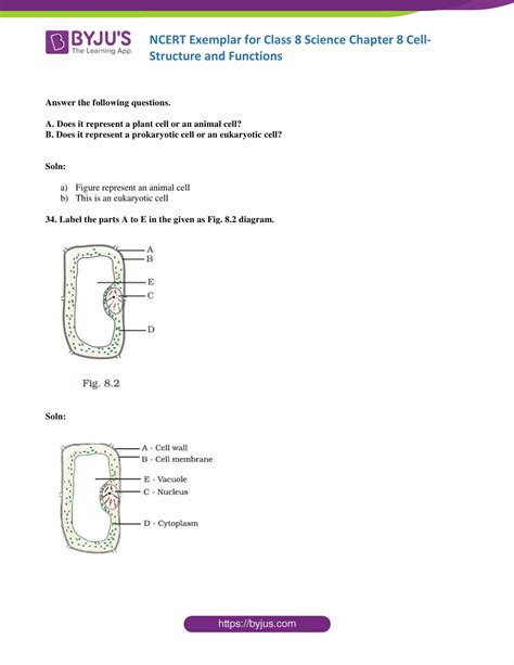 Image result for Class 8 Science Chapter 2 Summary NCERT