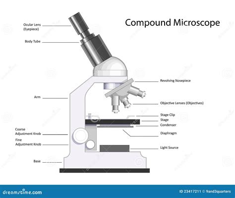 Image result for Compound Microscope Labeled