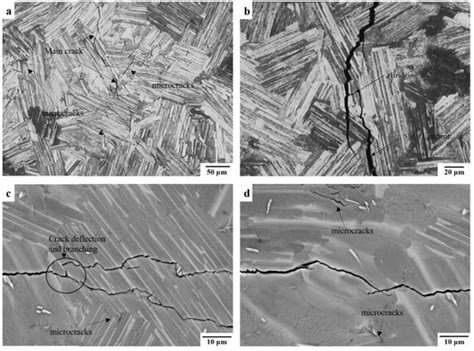 Investigation on Fatigue Threshold Testing Methods in a Near Lamellar ...