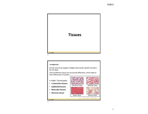 Image result for Connective Tissue Structure and Function